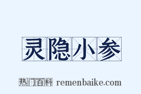 灵隐小参是什么意思的图片